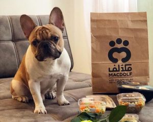 Comida Para Mascotas